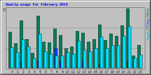 Hourly usage for February 2019